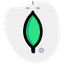 mongoDB