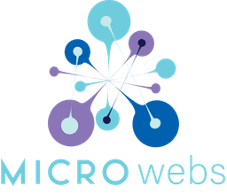 microwebs-logo